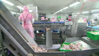 慶云和美食品銷售額突破2億元，產業興旺助力周邊就業改善